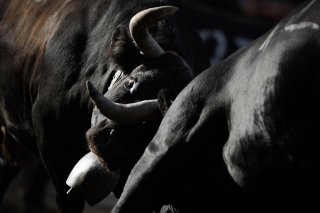Les combats qualificatifs reprendront le 23 mars 2025 à Chermignon.